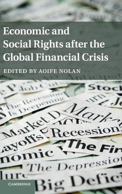 Economic and Social Rights after the Global Financial Crisis