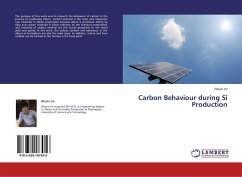 Carbon Behaviour during Si Production - Jin, Zhejun