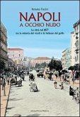 Napoli a occhio nudo. La città nel 1877 tra la miseria dei vicoli e le bellezze del golfo Napoli a occhio nudo. La città nel 1877 tra la miseria dei vicoli e le bellezze del golfo