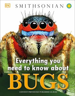 Everything You Need to Know about Bugs - Dk