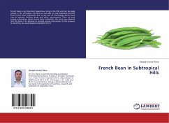 French Bean in Subtropical Hills