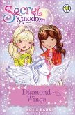 Diamond Wings (eBook, ePUB)