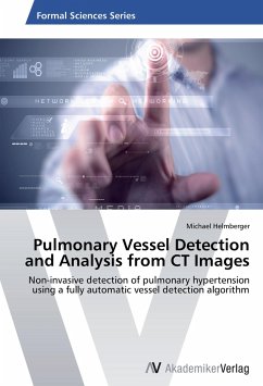 Pulmonary Vessel Detection and Analysis from CT Images - Helmberger, Michael