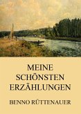 Meine schönsten Erzählungen (eBook, ePUB)