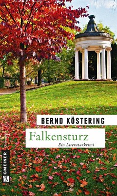 Falkensturz (eBook, PDF) - Köstering, Bernd
