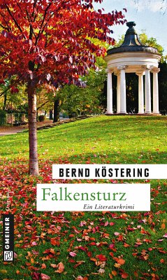 Falkensturz (eBook, ePUB) - Köstering, Bernd