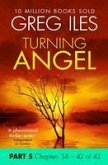Turning Angel: Part 5, Chapters 34 to 42 (eBook, ePUB)