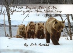 Four Brown Bear Cubs - Benda, Bob