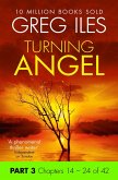 Turning Angel: Part 3, Chapters 14 to 24 (eBook, ePUB)