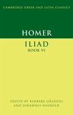 Homer: Iliad Book VI (eBook, PDF)