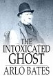 Intoxicated Ghost (eBook, ePUB) - Bild 1