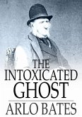 Intoxicated Ghost (eBook, ePUB)
