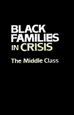 Black Families In Crisis (eBook, PDF)