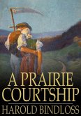 Prairie Courtship (eBook, ePUB)