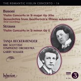 Romantic Violin Concerto Vol.16