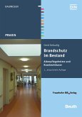 Brandschutz im Bestand. Altenpflegeheime und Krankenhäuser. (eBook, PDF)