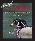 Wild Maine