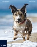 Mein Hund