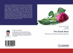 The Dutch Rose