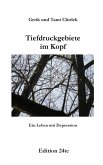 Tiefdruckgebiete im Kopf - Ein Leben mit Depression (eBook, ePUB)