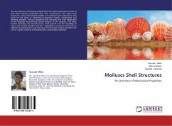 Molluscs Shell Structures