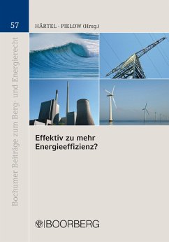 Effektiv zu mehr Energieeffizienz? (eBook, PDF)