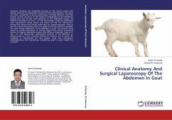 Clinical Anatomy And Surgical Laparoscopy Of The Abdomen In Goat - El-Gendy, Samir;El-khamary, Ahmed
