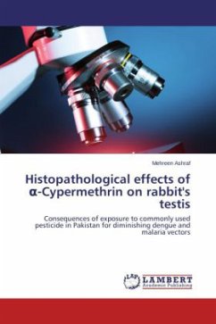 Histopathological effects of -Cypermethrin on rabbit's testis