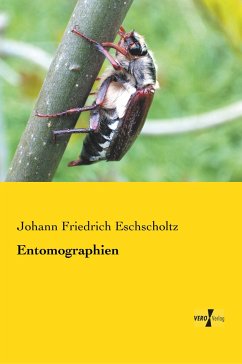Entomographien - Eschscholtz, Johann Friedrich