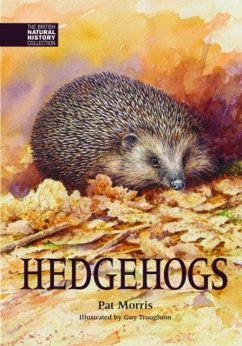 Hedgehogs - Morris, Pat