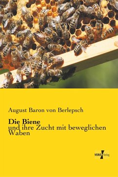 Die Biene - Berlepsch, August von