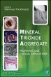 Mineral Trioxide Aggregate (eBook, PDF) - Bild 1