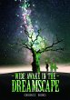 Wide Awake in the Dreamscape (eBook,... - Bild 1