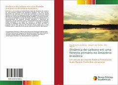Dinâmica de carbono em uma floresta primária na Amazônia brasileira - Castro de Barros, Priscila;dos Santos, Joaquim;Higuchi, Niro