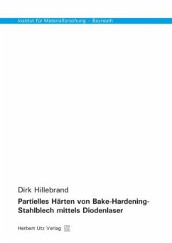 Partielles Härten von Bake-Hardening-Stahlblech mittels Diodenlaser - Hillebrand, Dirk