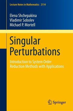 Singular Perturbations - Shchepakina, Elena;Sobolev, Vladimir;Mortell, Michael P.