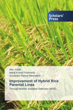 Improvement of Hybrid Rice Parental Lines - Yadla, Hari;Podishetty, Natraj Kumar;Raman Meenakshi, Sundaram