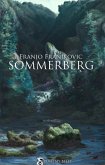 Sommerberg (eBook, ePUB)