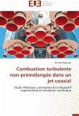 Combustion turbulente non-prémélangée dans un jet coaxial