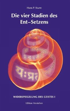 Die vier Stadien des Ent¿Setzens - Sturm, Hans P.