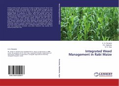 Integrated Weed Management in Rabi Maize