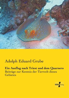 Ein Ausflug nach Triest und dem Quarnero - Grube, Adolph Eduard