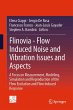 Flinovia - Flow Induced Noise and... - Bild 1