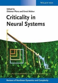 Criticality in Neural Systems (eBook, PDF)