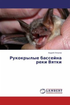 Rukokrylye basseyna reki Vyatki