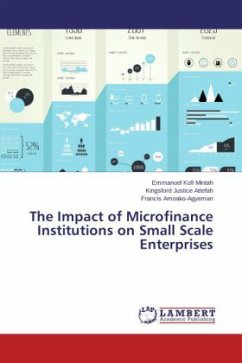The Impact of Microfinance Institutions on Small Scale Enterprises
