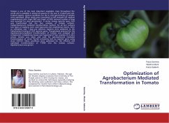 Optimization of Agrobacterium Mediated Transformation in Tomato - Samina, Faiza;Munir, Neelma;Saleem, Faiza