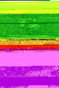 Cover Murder, Mayhem and Lost Treasure (eBook, ePUB)