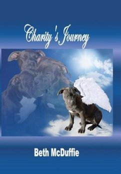 Charity's Journey - McDuffie, Beth