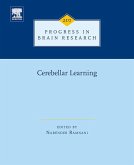 Cerebellar Learning (eBook, ePUB)